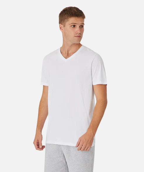 INDUSTRIE THE NEW BASIC VEE TEE - GRAB 2 FOR $50