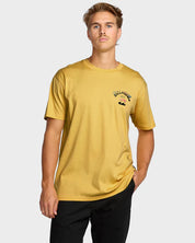 BILLABONG ARCH FADE PREMIUM TEE