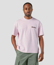 DICKIES SLAYDEN TEE WINSOME