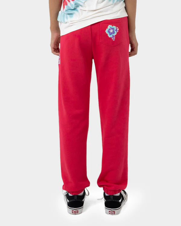 SANTA CRUZ FREE SPIRIT FLORAL TRACK PANT