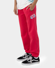 SANTA CRUZ FREE SPIRIT FLORAL TRACK PANT