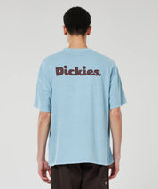DICKIES SLAYDEN TEE- GLACIER LAKE