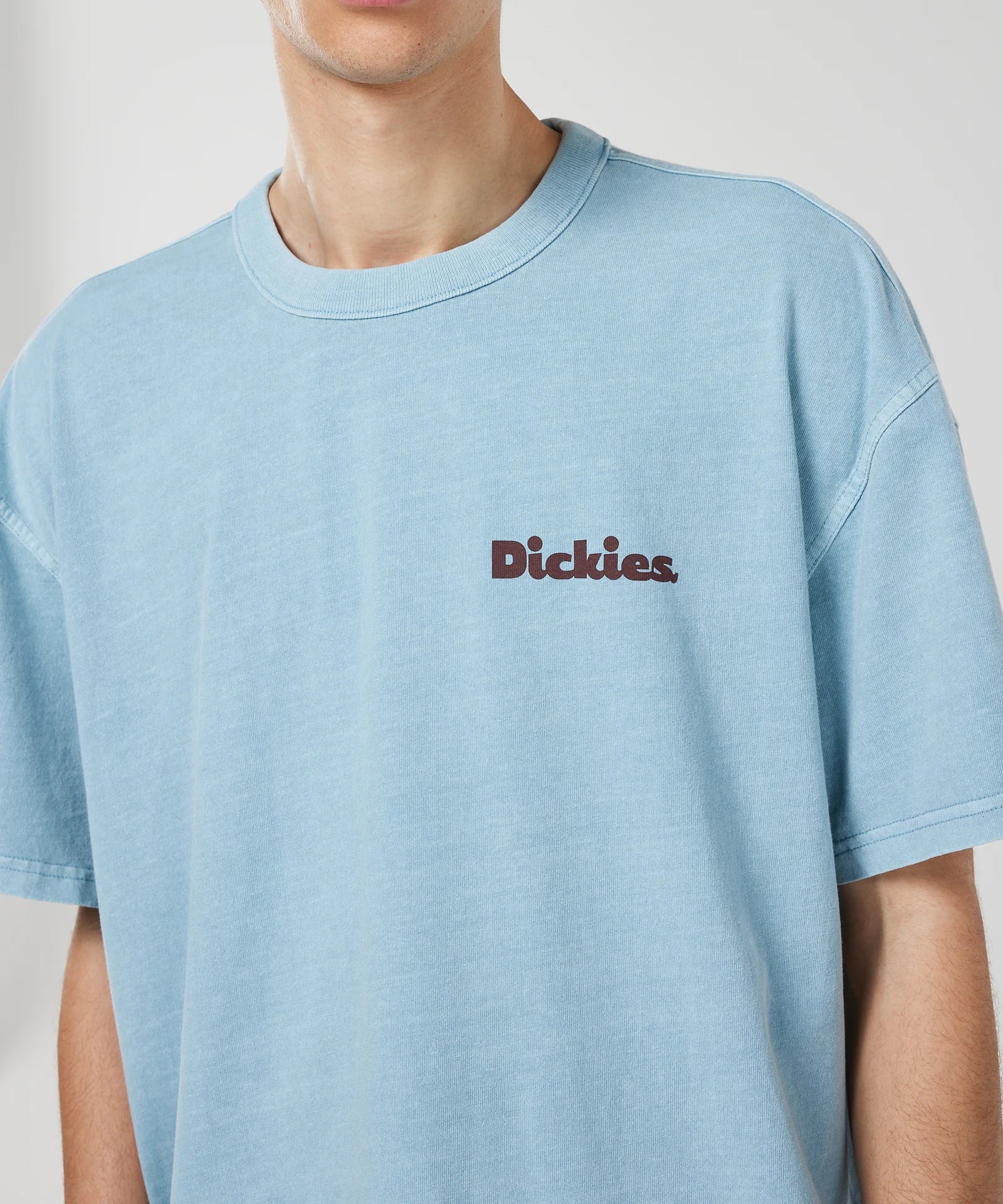 DICKIES SLAYDEN TEE- GLACIER LAKE