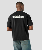 DICKIES SLAYDEN TEE BLACK
