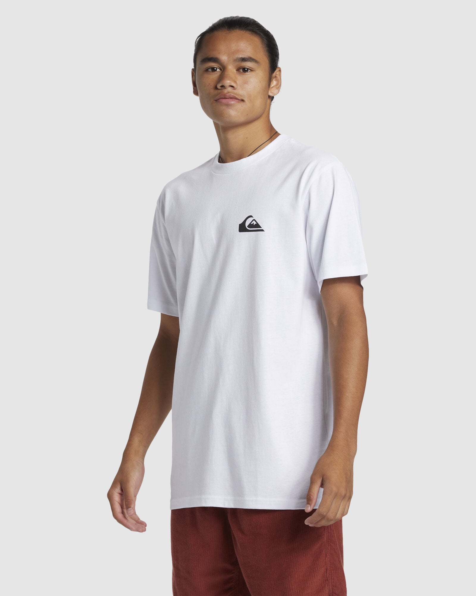 QUIKSILVER LOGO DNA TEE