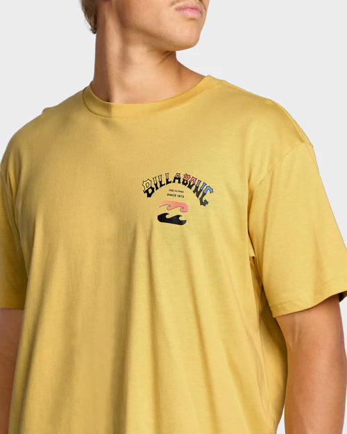 BILLABONG ARCH FADE PREMIUM TEE