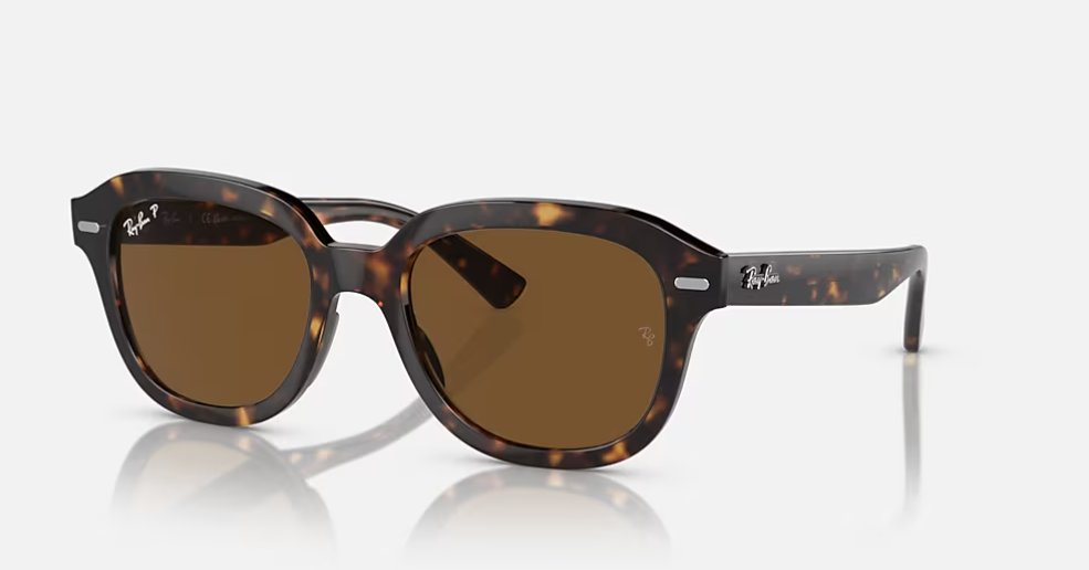 RAY BAN ERIK HAVANA W/ POLAR BROWN