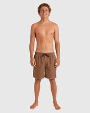 BILLABONG ALL DAY OVERDYE LAYBACK 17" - TOBACCO