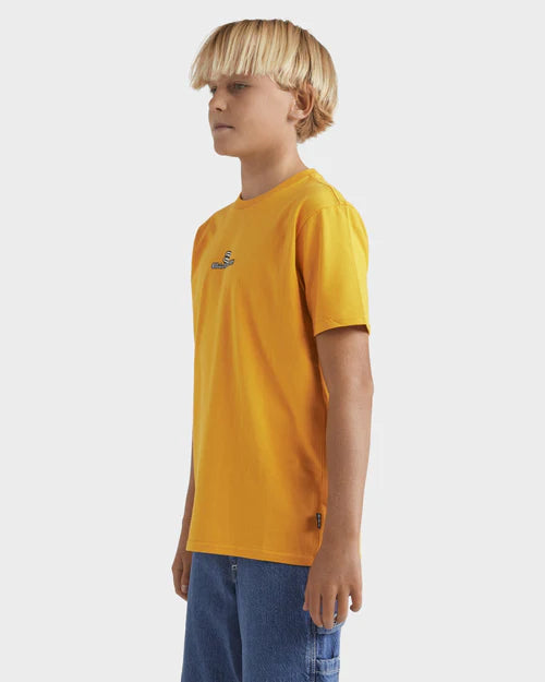 BILLABONG GROMS DOT COM SS