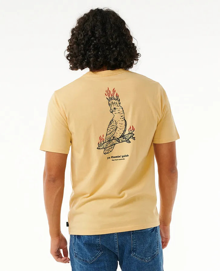 RIP CURL AUSTRALIAN FUN TIMES DESTO