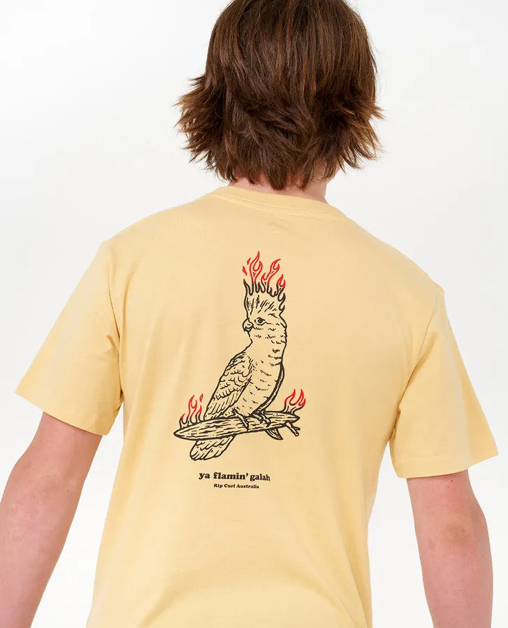 RIP CURL FLAMIN GALAH TEE - BOY