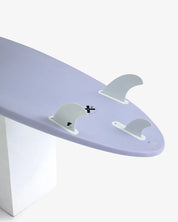 MFxLAURA ENEVER - SUN BEAM HYDRANGEA