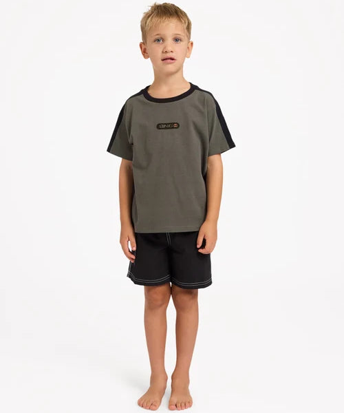 billabong-boys-2-7-spec-iconic-t-shirt-forest.webp