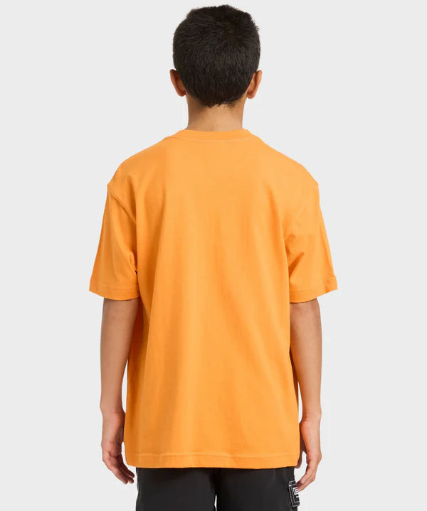 billabong-boys-spec-73-signal-tshirt-dusty-orange-8-161.webp