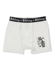 BILLABONG CREED FLOWER POT 3 PACK BRIEFS – MULTI