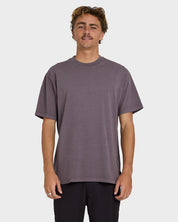 BILLABONG MENS PREMIUM WAVE WASH T SHIRT STEEL PURPLE SURF TEE