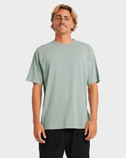 BILLABONG PREMIUM WAVE WASH T-SHIRT – MENS SOFT WASHED SURF TEE IN JADE - 2 FOR $60