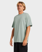 BILLABONG PREMIUM WAVE WASH T-SHIRT – MENS SOFT WASHED SURF TEE IN JADE - 2 FOR $60