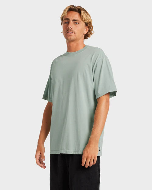 BILLABONG PREMIUM WAVE WASH T-SHIRT – MENS SOFT WASHED SURF TEE IN JADE - 2 FOR $60