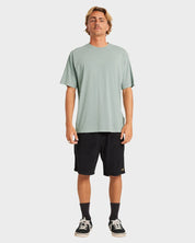 BILLABONG PREMIUM WAVE WASH T-SHIRT – MENS SOFT WASHED SURF TEE IN JADE - 2 FOR $60