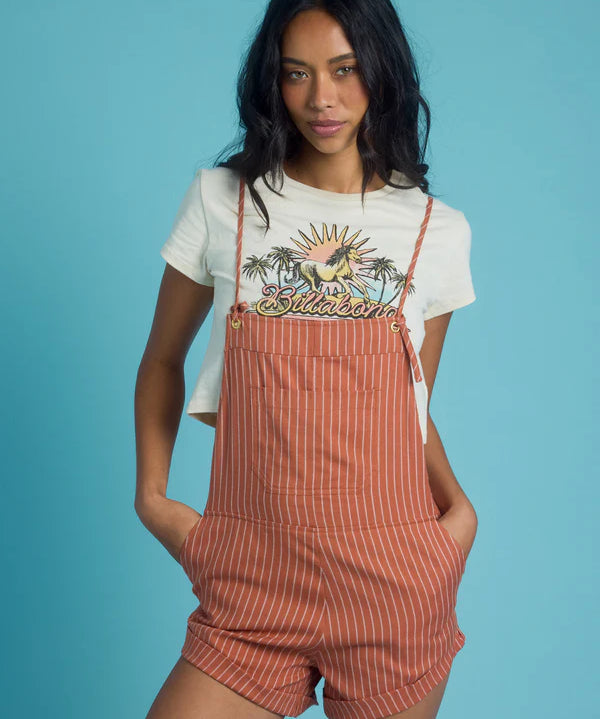 billabong-womens-wild-pursuit-overalls-stripe.webp