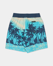 QUIKSILVER BOYS EVERYDAY PRINTED 13 INCH SWIM SHORTS 2-7 AQUA THERMOTROPICS