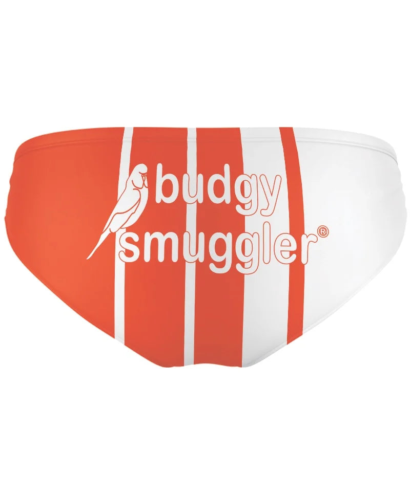 budgy-smuggler-mens-dolphins-1998-swim-briefs.webp