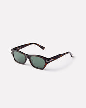 FREQUENCY - TORTOISE POLISHED / GREEN POLARIZED