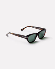 FREQUENCY - TORTOISE POLISHED / GREEN POLARIZED