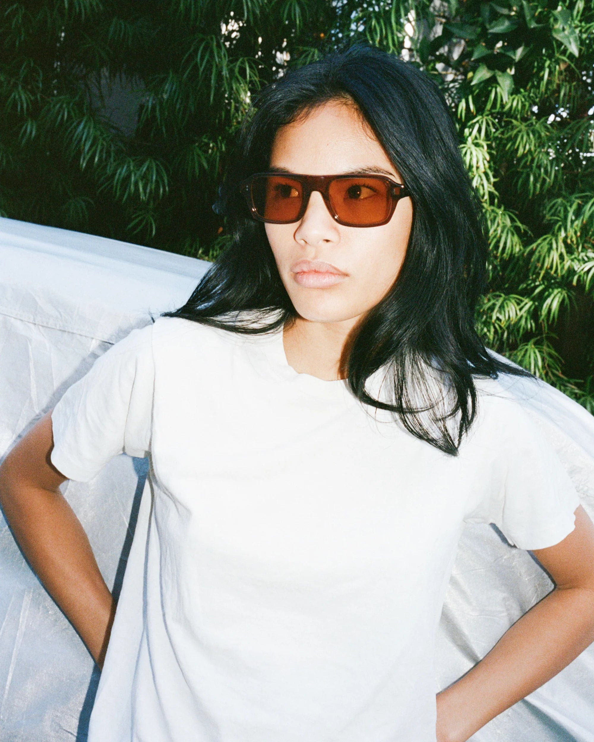 MONO - BROWN POLISHED / BROWN