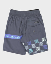 QUIKSILVER BOYS EVERYDAY 13" BOARDSHORTS 2–7 – PERFORMANCE SURF SHORTS IRON GATE